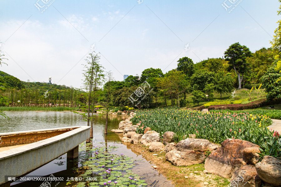 青秀山莫奈花园