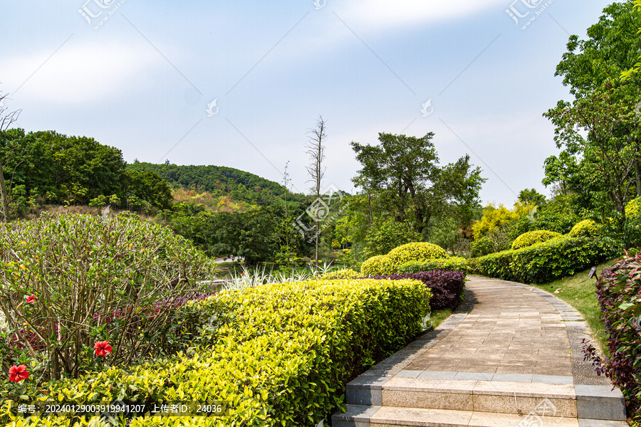 青秀山景区观光步道