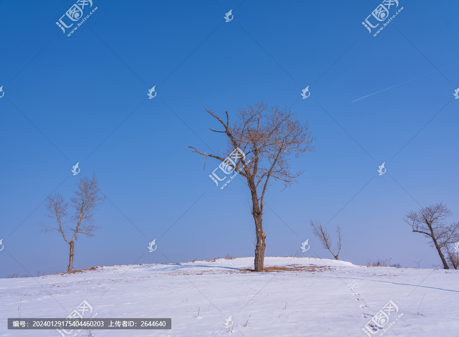内蒙古冬季草原