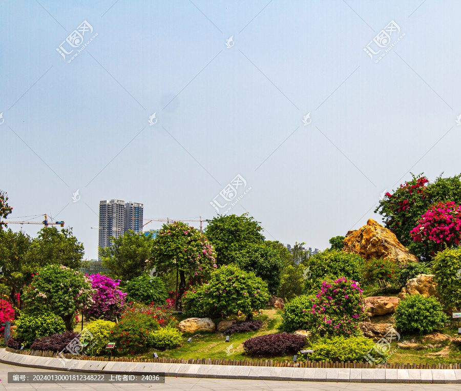 南宁青秀山叶子花园艺