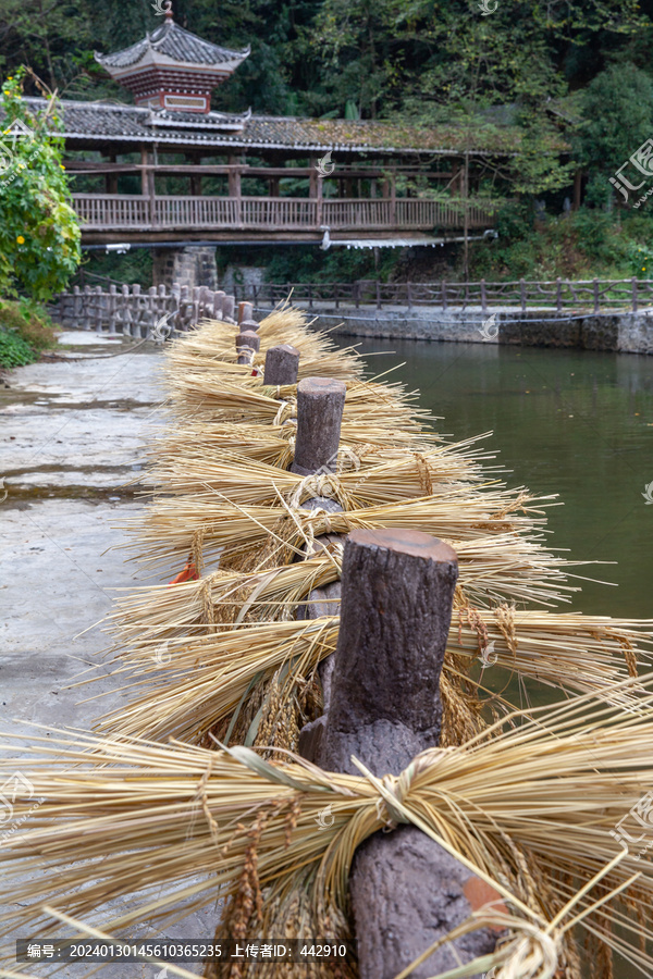 增冲村