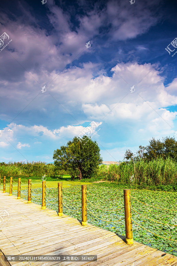 滇池湿地木栈道