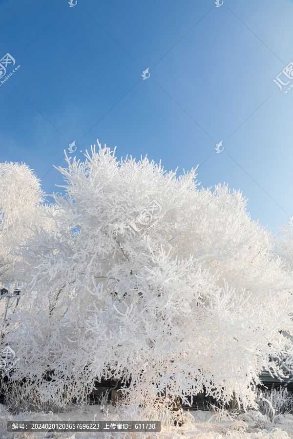 吉林市松花江畔雾凇景观