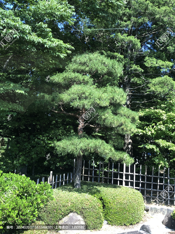 日本福岛四季之力园艺景观