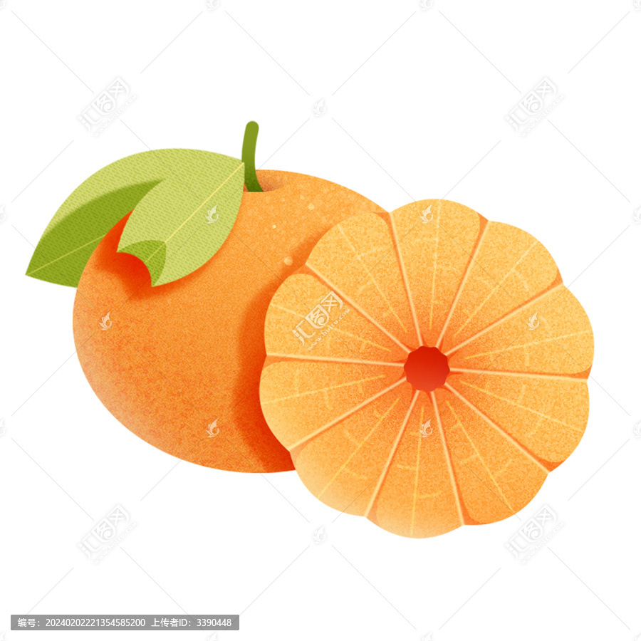 广西特产砂糖橘装饰插画免抠元素