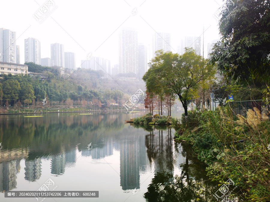 城市生态湖泊美景