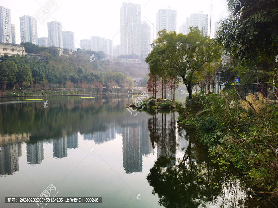 城市湿地公园湖泊