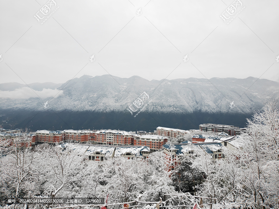 大雪