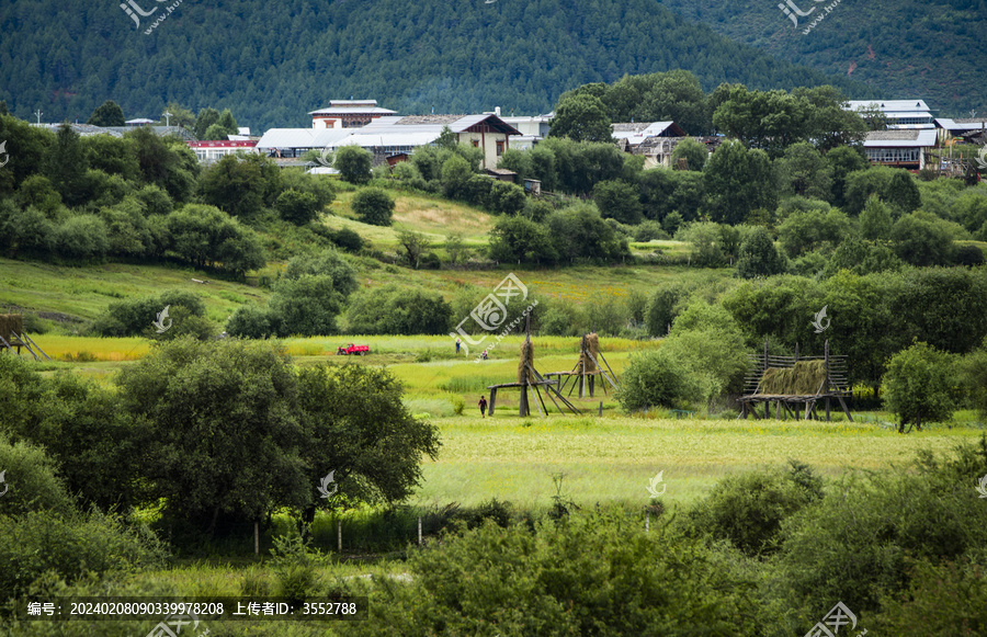 香格里拉田园风光