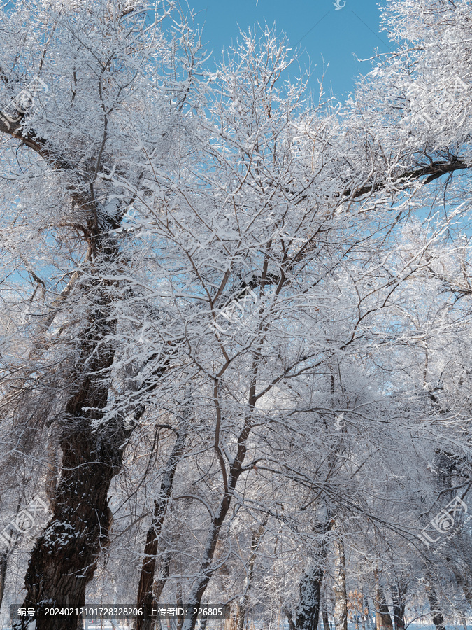 冬天雪景