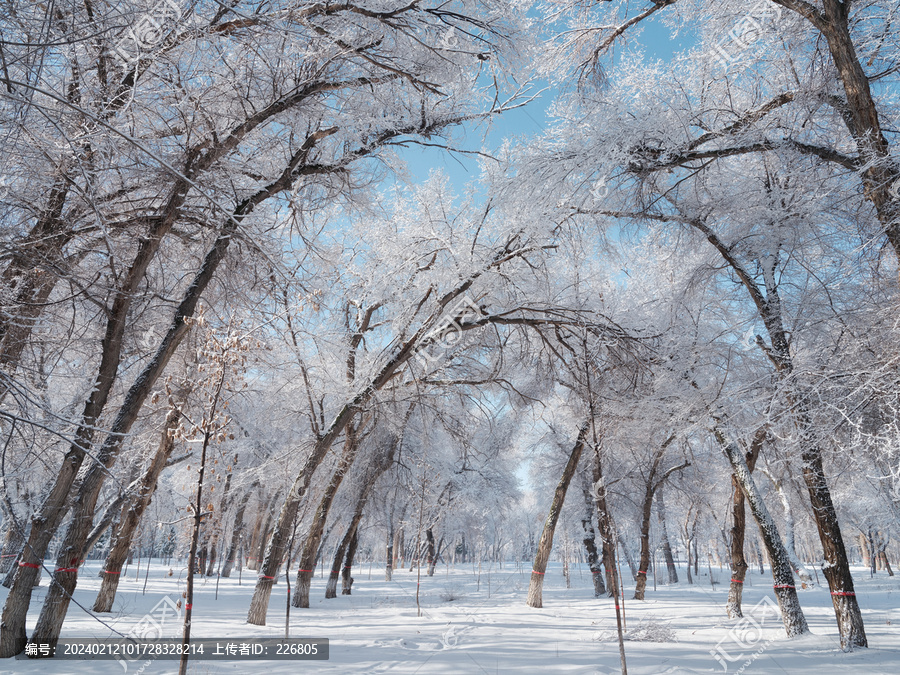 冬天雪景