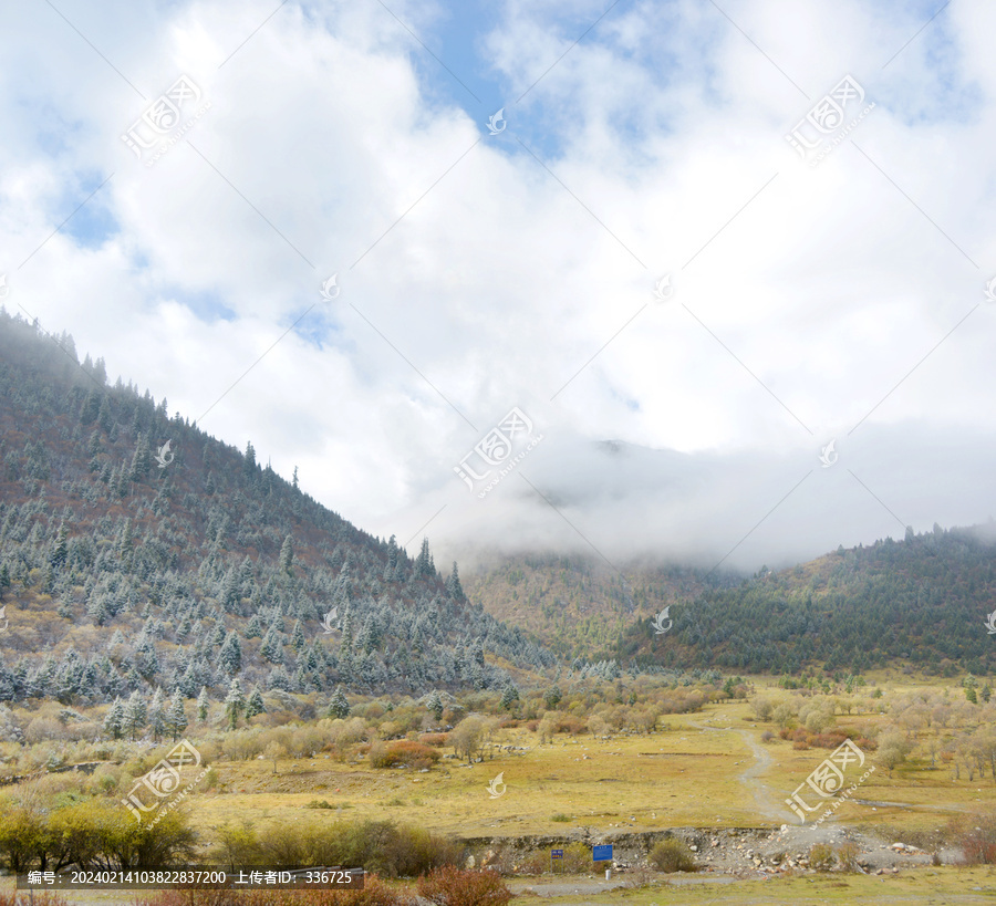 阿坝雅克夏雪山雅克夏露营地