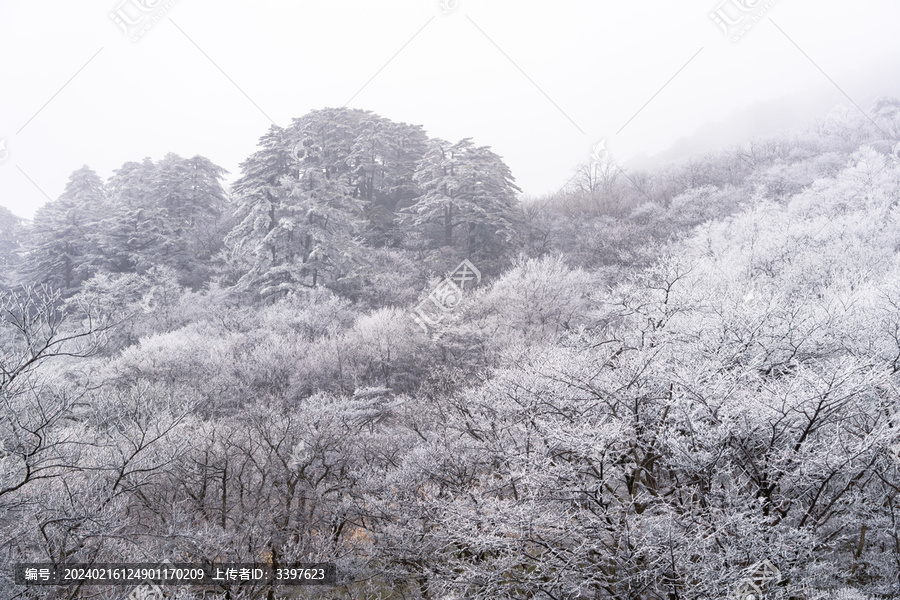 冬季雪后登山赏雾凇美景