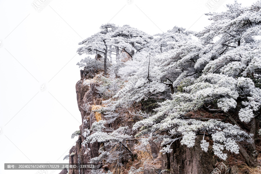 黄山景区的群山美景户外风光