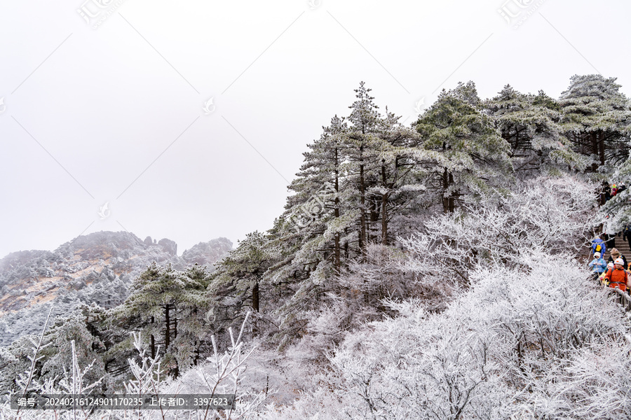 冬季登山赏美丽的雾凇