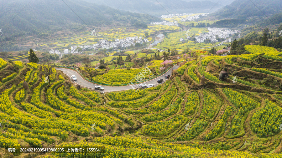 江岭油菜花梯田航拍