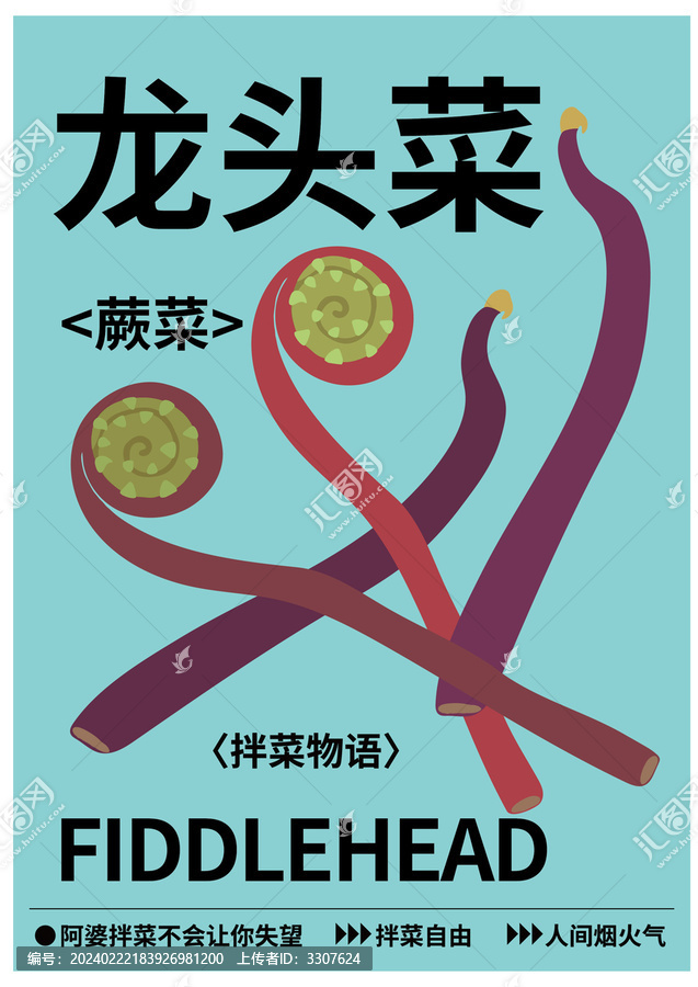 龙头菜蕨菜插画海报包装素材