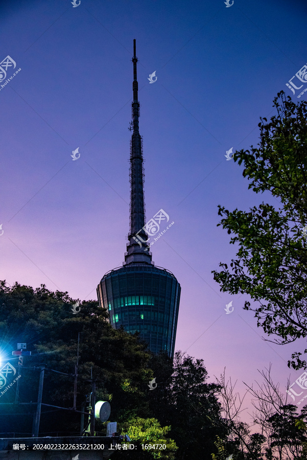 梧桐山晨曦