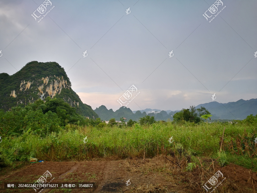 田野