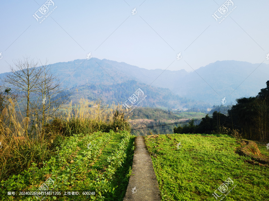 田间小路