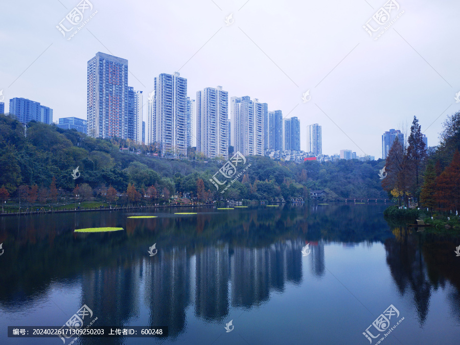 湿地公园湖泊摄影美景