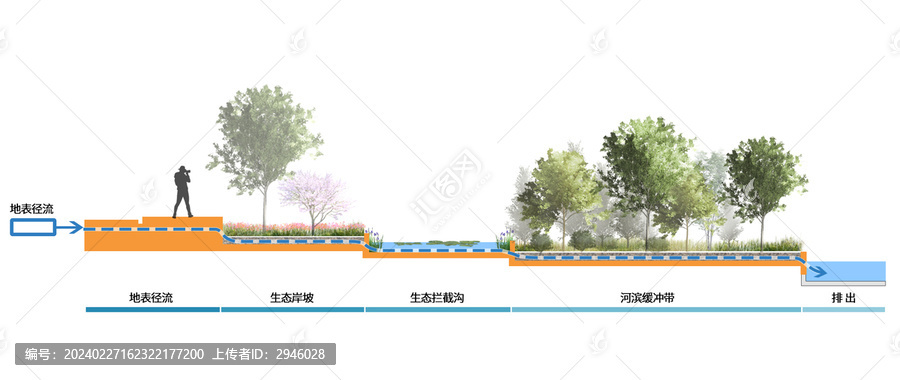 海绵城市地被径流处理工艺断面图