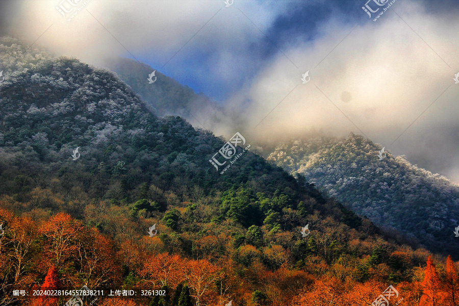 黄山雾凇