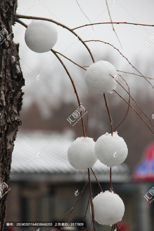 雪球