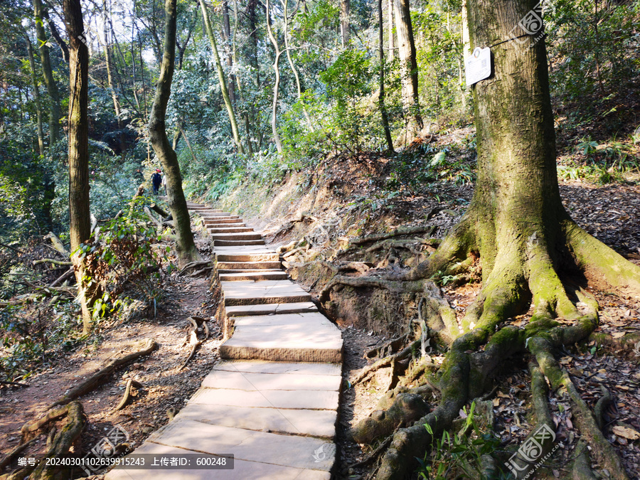 青城山登山步道