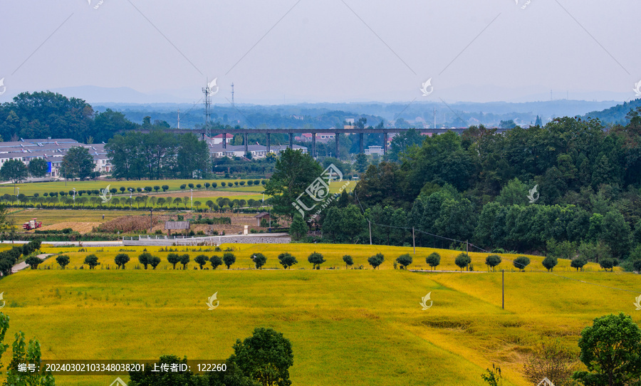 仙居河湿地公园