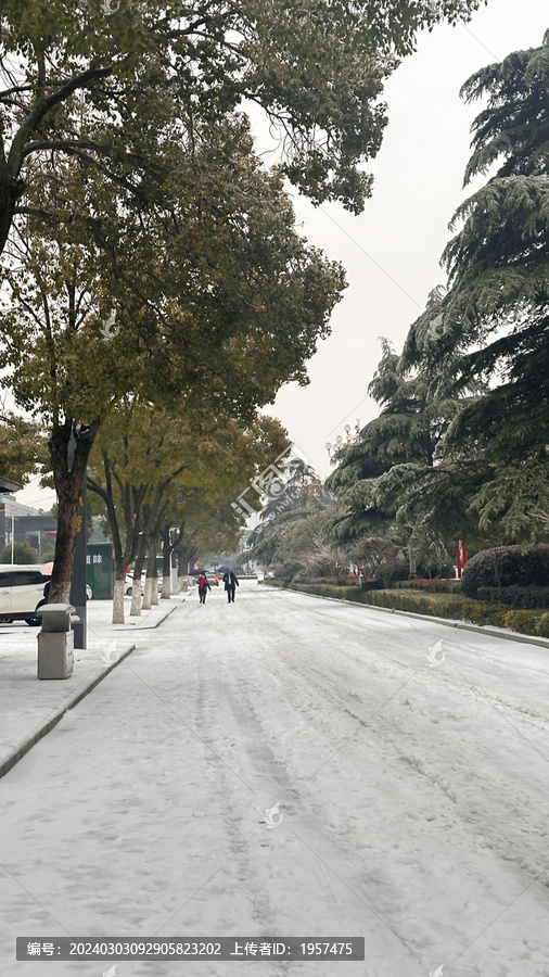 冰天雪地