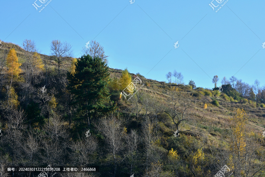 秋山景韵