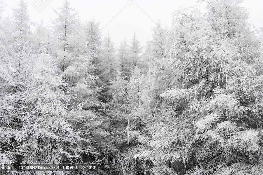 湖北巴东野三关高山雪景