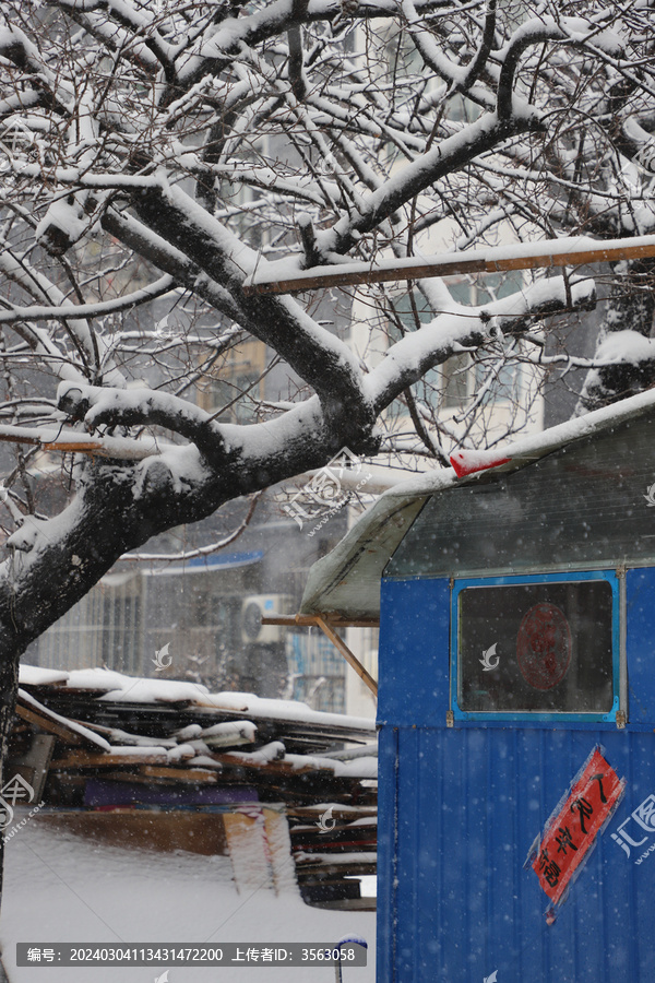 吉林市冬季雪景雾凇