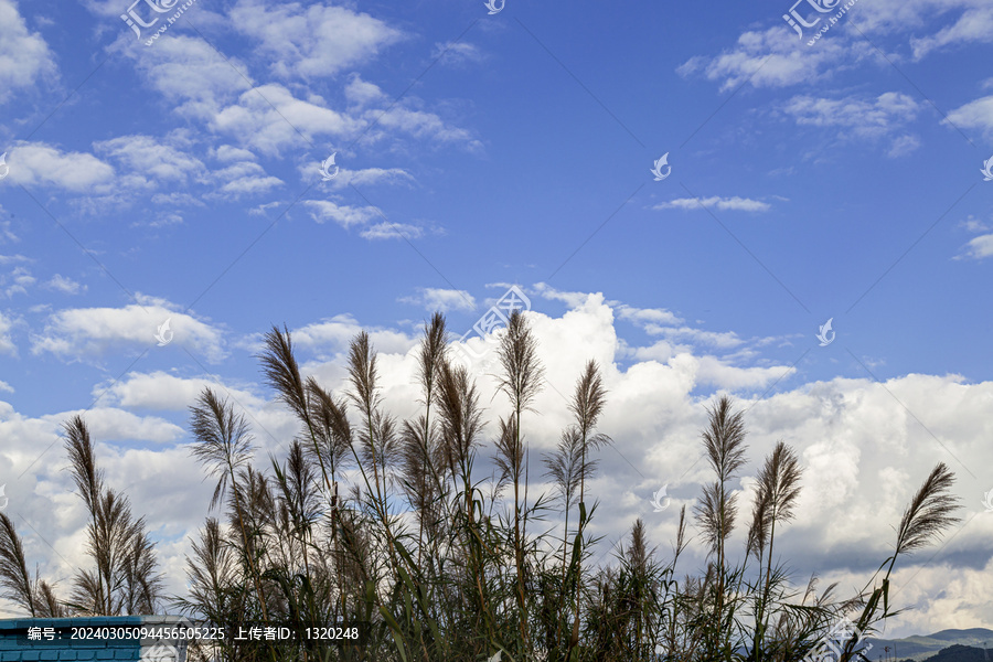 蓝蓝的天空