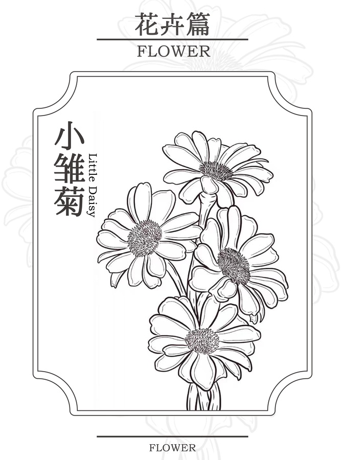 小雏菊花卉手绘线条风插画