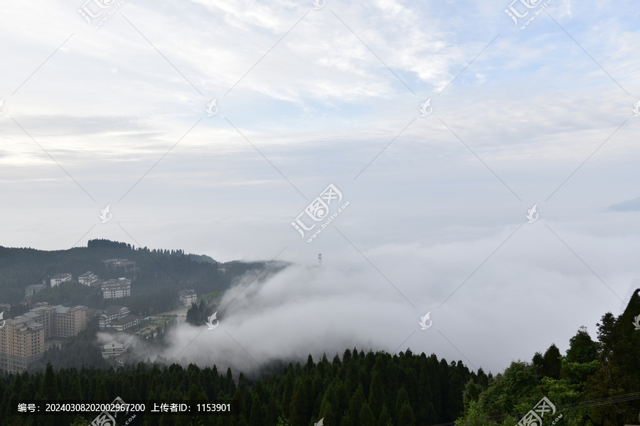 高山晨雾