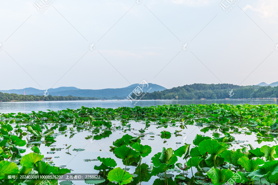 杭州西湖美景