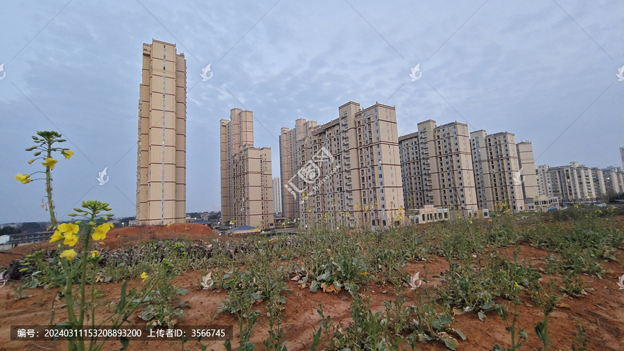 建筑物花朵天空