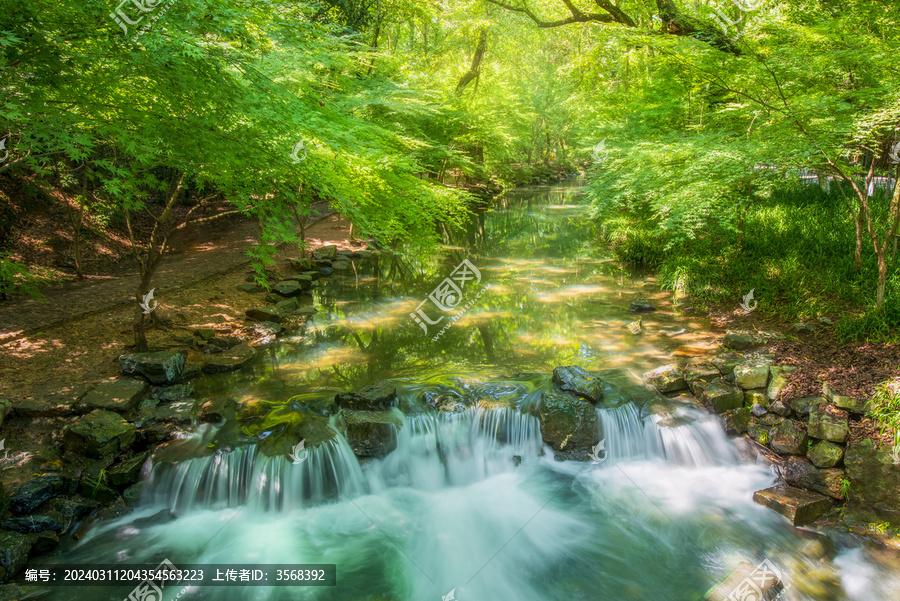 杭州夏天的九溪