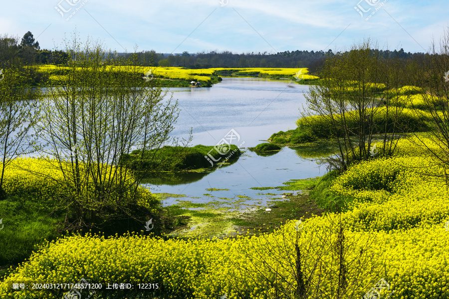 湿地花海