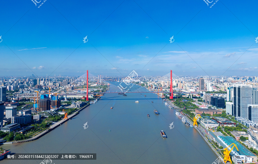 上海市杨浦大桥