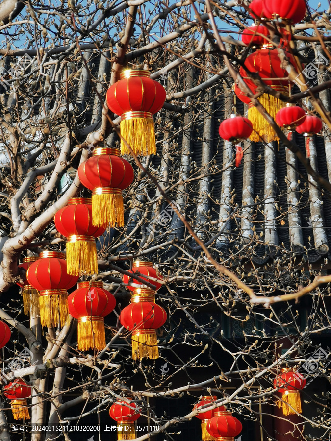 树上的新年灯笼