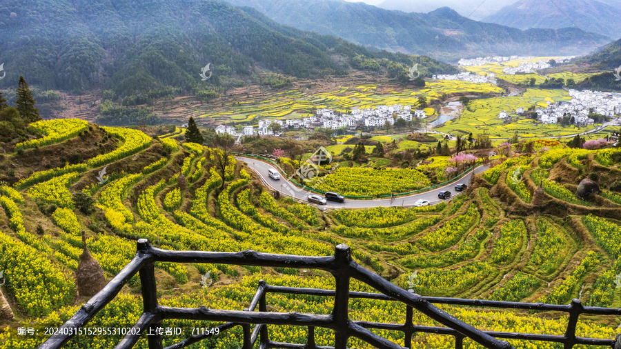 江岭油菜花梯田