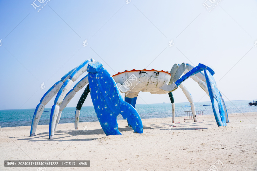 海滩螃蟹