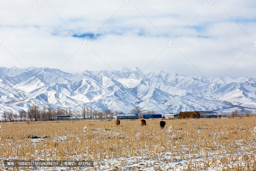 新疆冬季巍巍天山