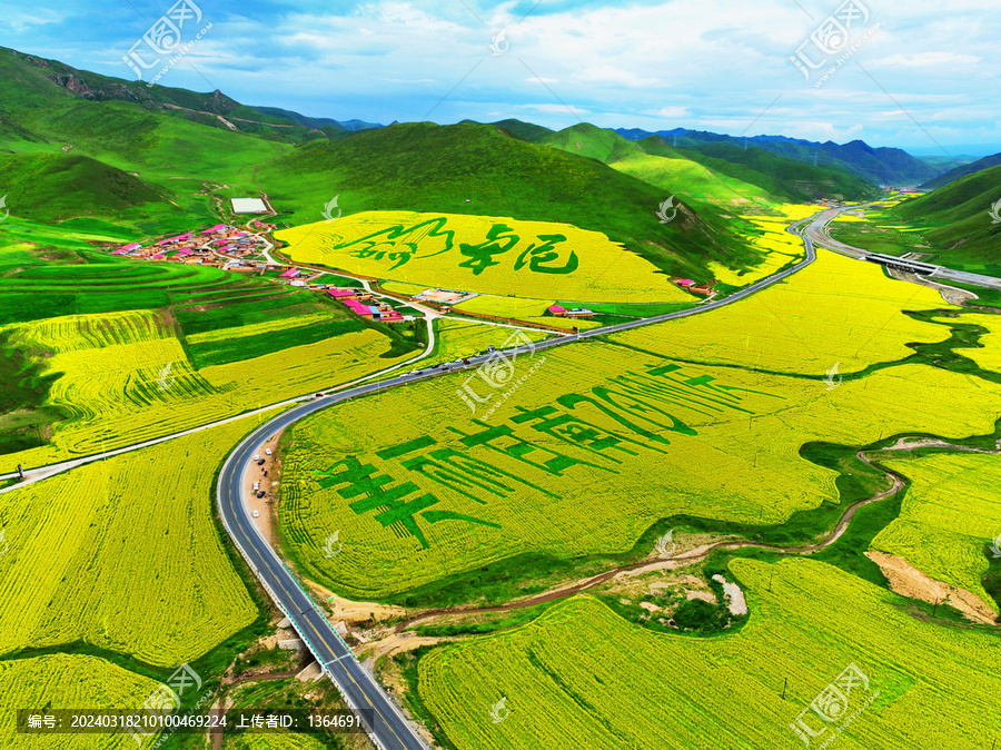 航拍甘肃甘南卓尼油菜花海