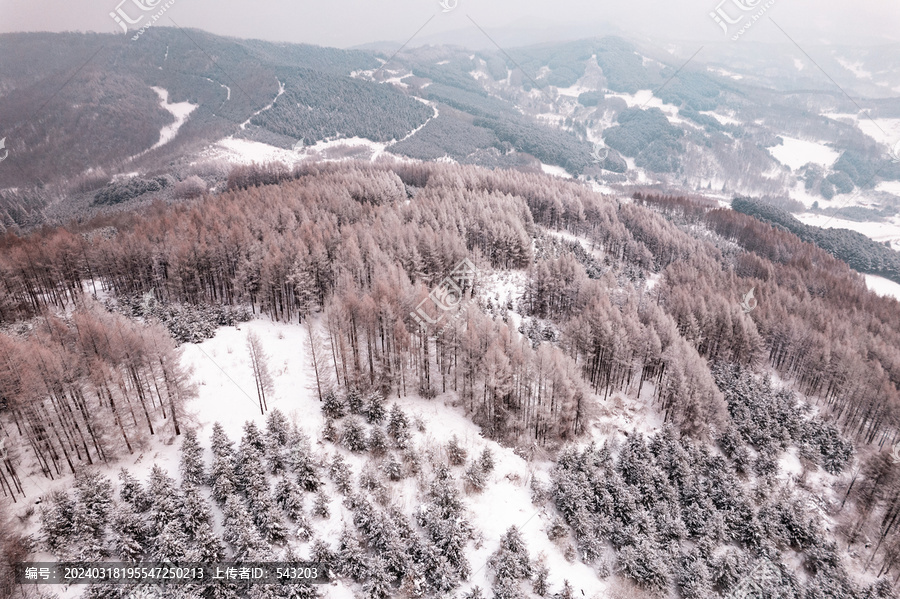 吉林松岭雪村冬季东北农村雪景