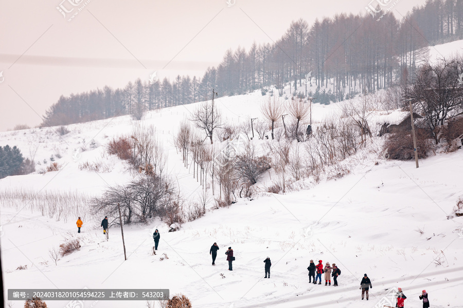 雪村冬季东北农村旅游游客雪景