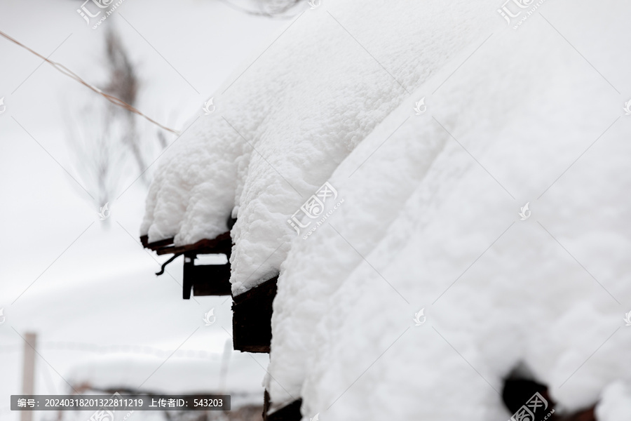 雪后场景积雪大雪